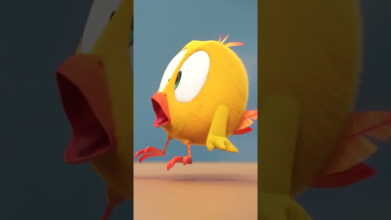 SHORTS CHICKY | A BAD DAY 😲 | Where's Chicky 