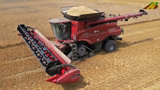 Getreideernte 2021 - Raupen Mähdrescher Case 8250 & Claas 770 - Großeinsatz in der Landwirtschaft