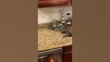 POV: Your reloading on Halloween #shorts