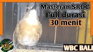 Masteran SRDC durasi panjang Full roll tembak isian.
