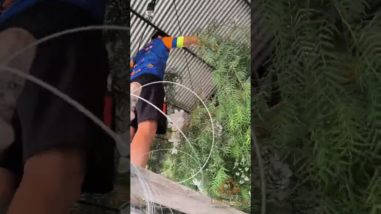 Transformamos a entrada do local