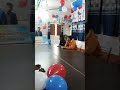 Learning Tree Hisua Hisua 7th anniversary