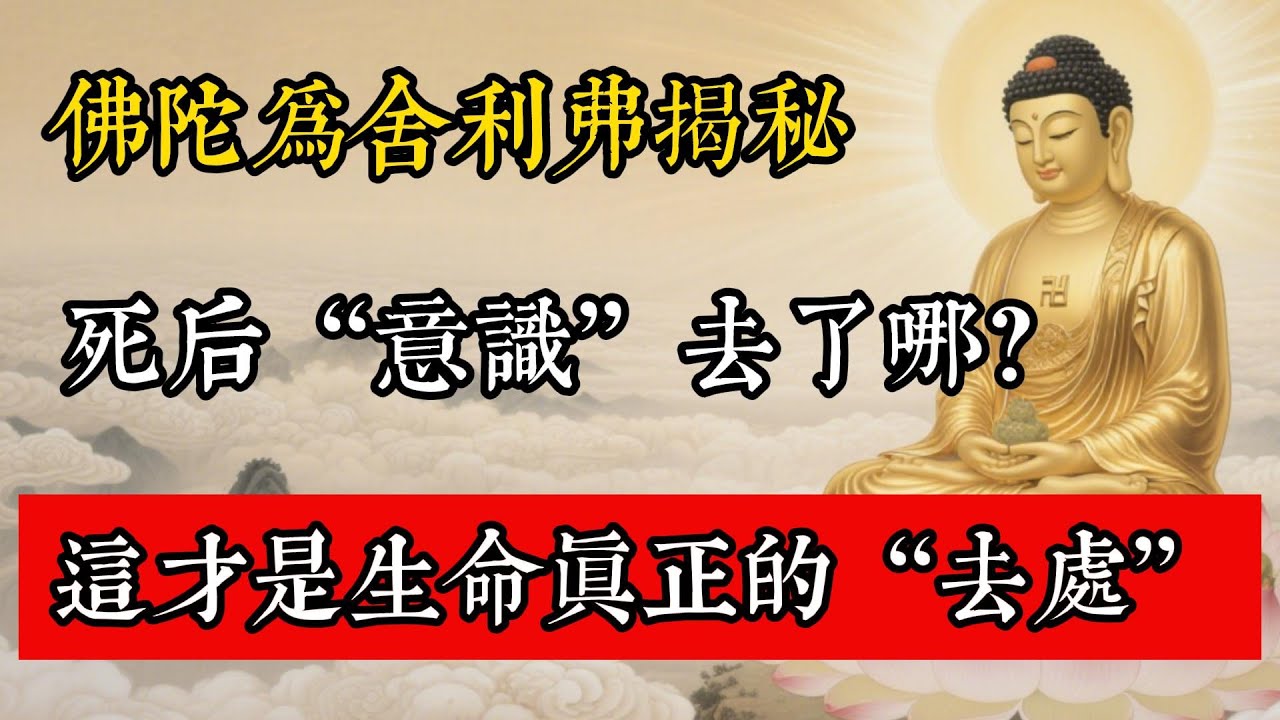 佛陀為舍利弗揭秘：死後“意識”去了哪？這才是生命真正的“去處”!#佛教 #佛家 #佛法 #佛學知識 #佛學智慧 #修心修行 #佛教文化 #禪悟人生 #傳統文化