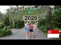 Singapore Zoo 2020 Vlog | One of the BEST Zoos in the World