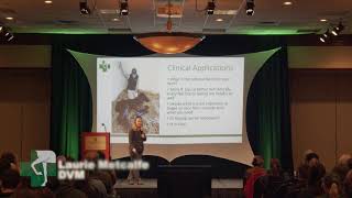Dr. Laurie Metcalfe reviews the new thoughts on giving plasma to foals.