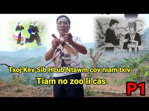 Video: Pros Thiab Cons Ntawm Kev Sib Raug Zoo Dawb