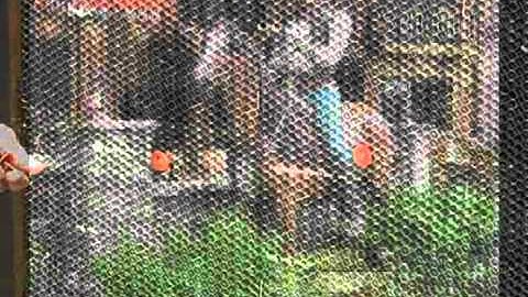 Stone Veneer Installation Video-Step 2