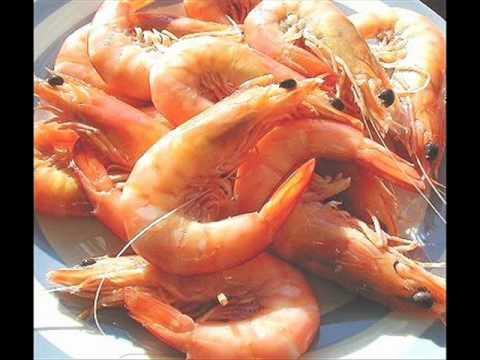 Отравление от морепродуктов. Отравление от морепродуктов. Отравление морепродуктами симптомы. Отравление от морепродуктов. Отравление от морепродуктов.