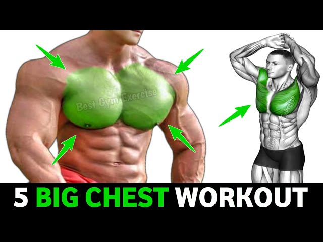 Chest Workout: 5 Most Effective Exercises to Build Muscle - Tua Saúde