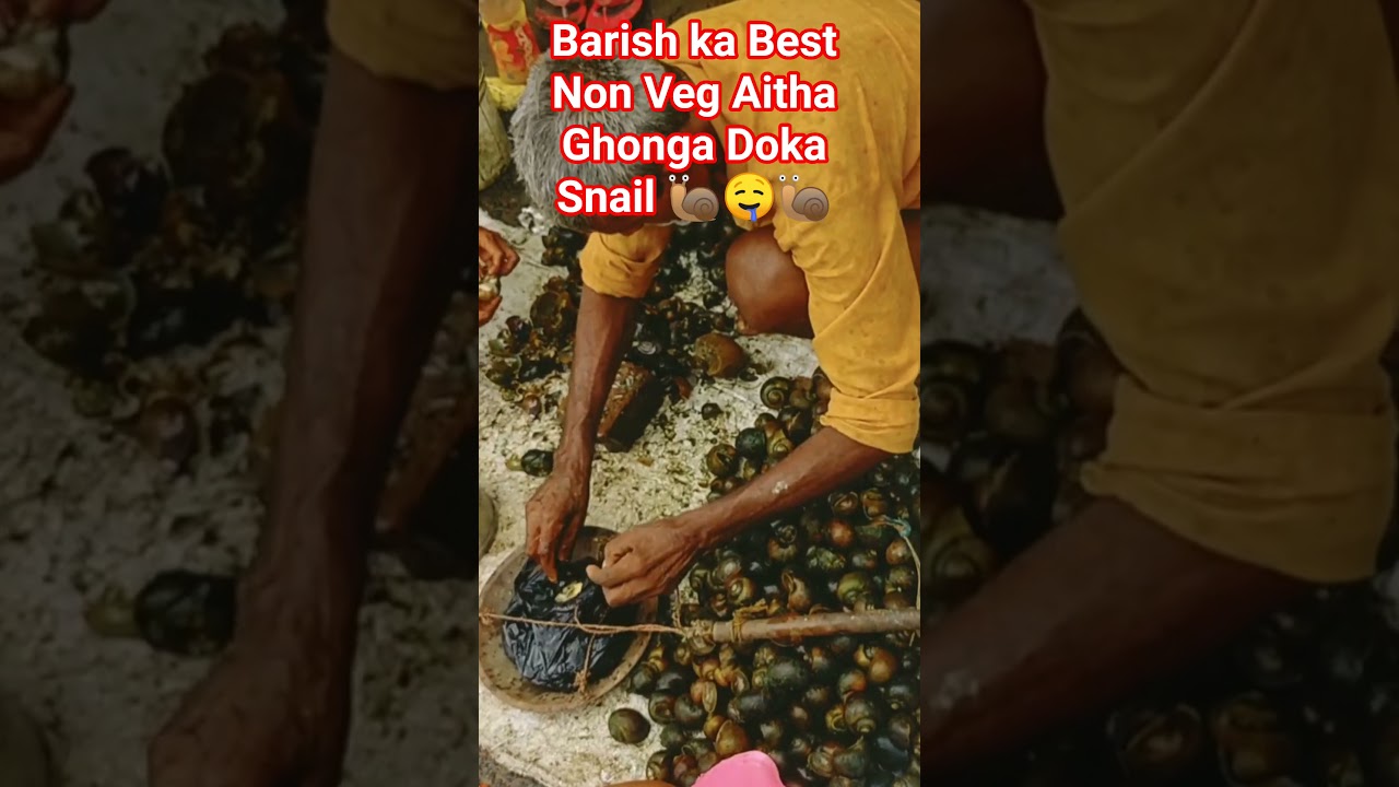 Rain Best Non Veg Snail 🐌