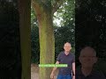 Why Is It So Important to Protect Our Trees? |  Expert Insight from Encon Associates 🌳