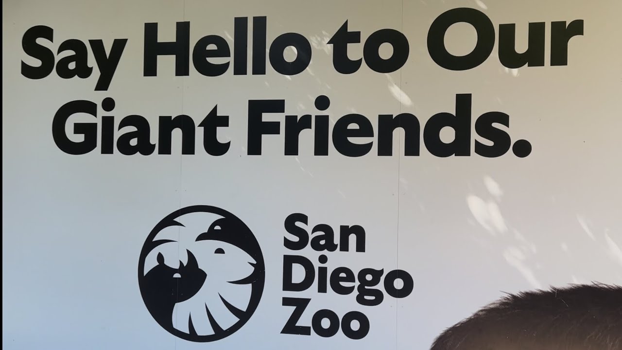 San Diego Zoo's Table Service Dining | Albert's Restaurant