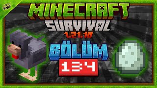 SOĞUK TAVUK HAYVANAT BAHÇESİ • BÖLÜM 134 • MINECRAFT SURVIVAL • #hmfsurvival