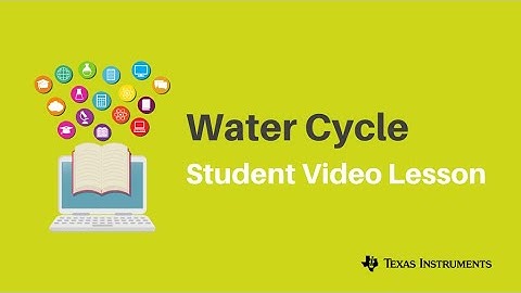 The Water Cycle | Earth Science Video Lesson