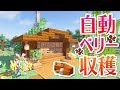 【マインクラフト】キツネ式自動スイートベリー畑を建築!【マイクラ実況】#99