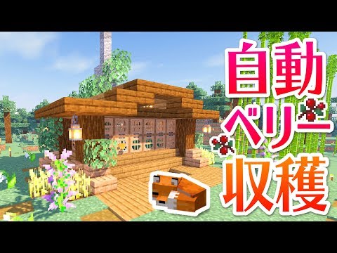 マインクラフト キツネ式自動スイートベリー畑を建築 マイクラ実況 99 Youtube