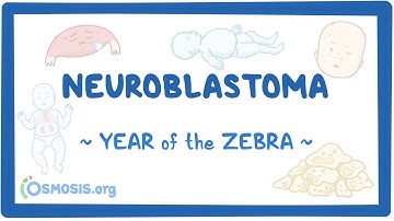 Neuroblastoma (Year of the Zebra 2024)