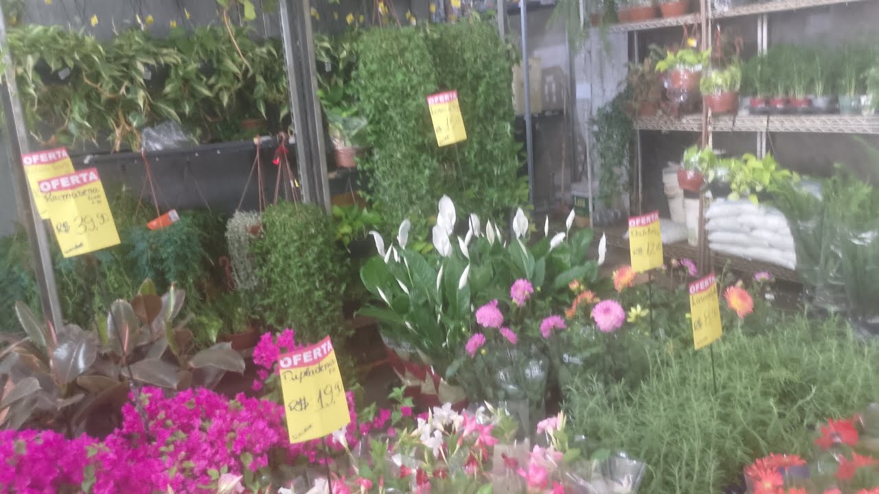 ( CADEG - Mercado Municipal do Rio ) e na paixão pela Jardinagem RJ