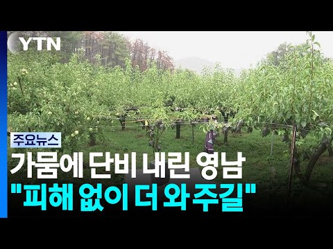 가뭄에 단비 내린 <strong>영남</strong>..."피해 없이 더 와 주길" / YTN