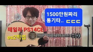 Taylor PS14CE 1500만원짜리 기타 과연 소리는..