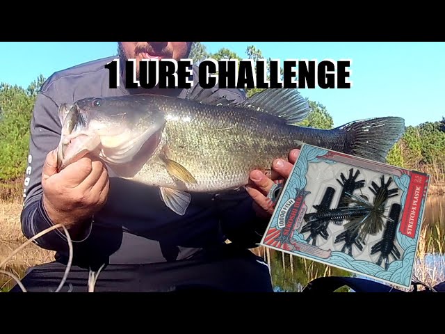 ONE LURE CHALLANGE!  Tight Rope Baby Fire Work Super Jig\10000 Fish  Sukoshi Bug Review #fishing 