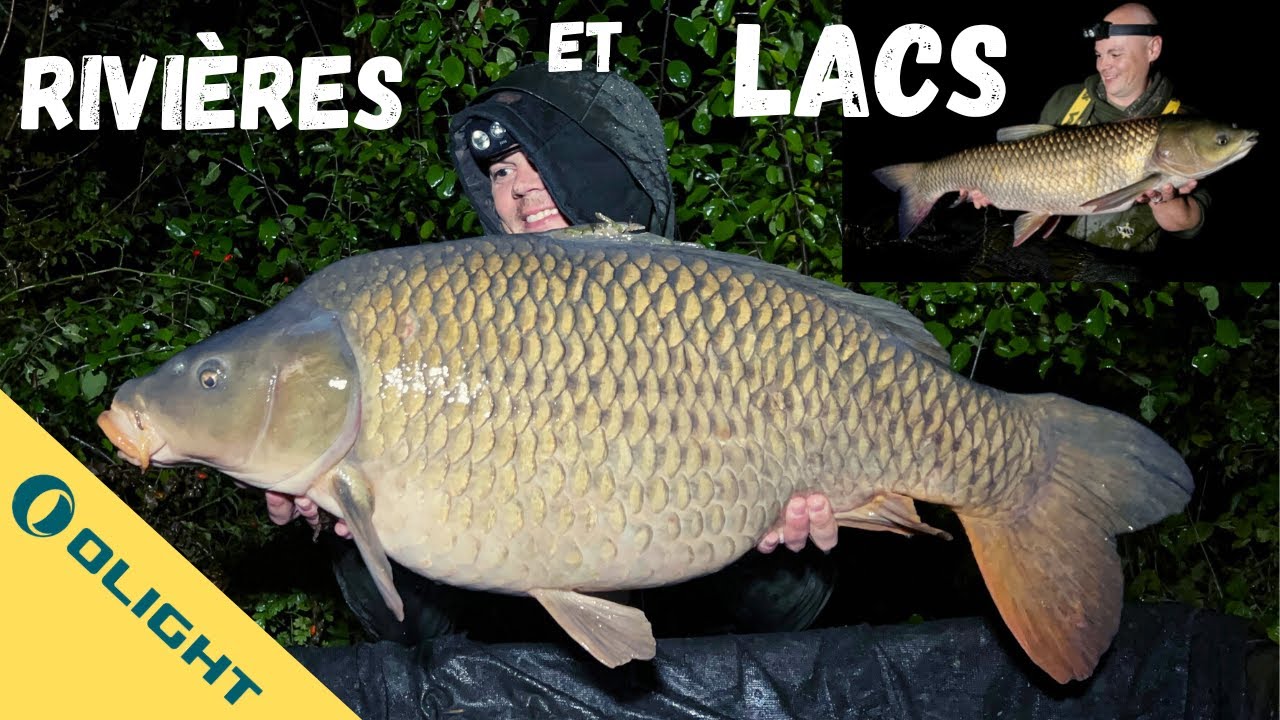 Rivières et lacs//pêche de la carpe//