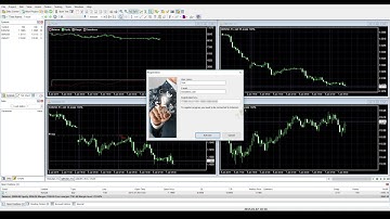 Forex trading simulator: how to register the program in a couple of clicks [Step-by-step guide]