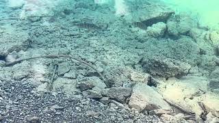 IMG 6781