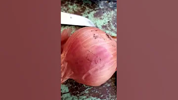 طماطم بصل فلفل 