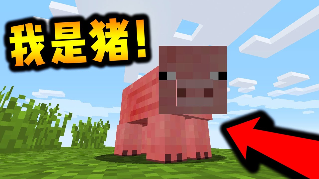 【Minecraft】但我扮演成一只猪... - YouTube
