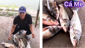 Câu Cá Mè Hồ Câu Huyện Đội Hóc Môn  #L3# | @phucvlop85
