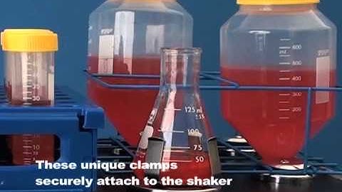 Orbi-Shaker CO2 All Environment Orbital Shaker (www.benchmarkscientific.com)