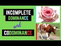 Mendelian Patterns of Inheritance: Incomplete Dominance and Co-Dominance Explained