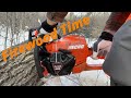 Cutting Firewood with The Echo  CS-7310P