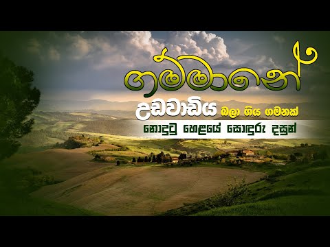 උඩවාඩිය ගම්මානය | Udawadiya Village