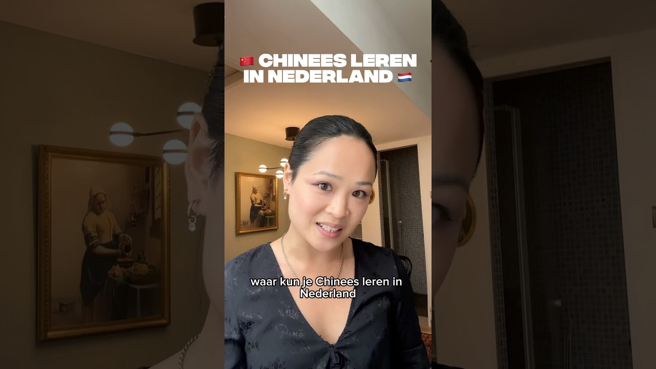 🇨🇳🇳🇱 Chinees leren in Nederland?! Hieronder een lijst met 14 taal instituten.