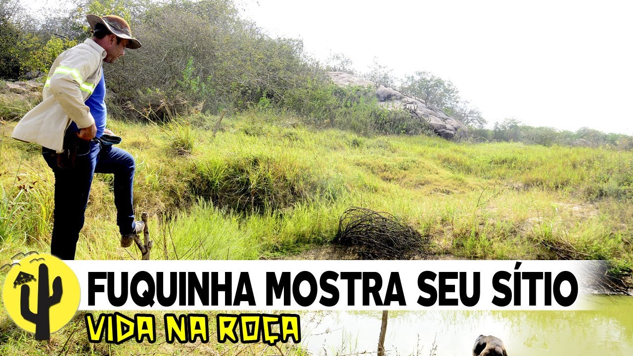 [VIDA NA ROÇA] Vaqueiro FUQUINHA nos mostrou seu SÍTIO - Última Parte 🌵