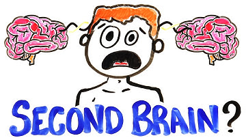 What If You Had A Second Brain?