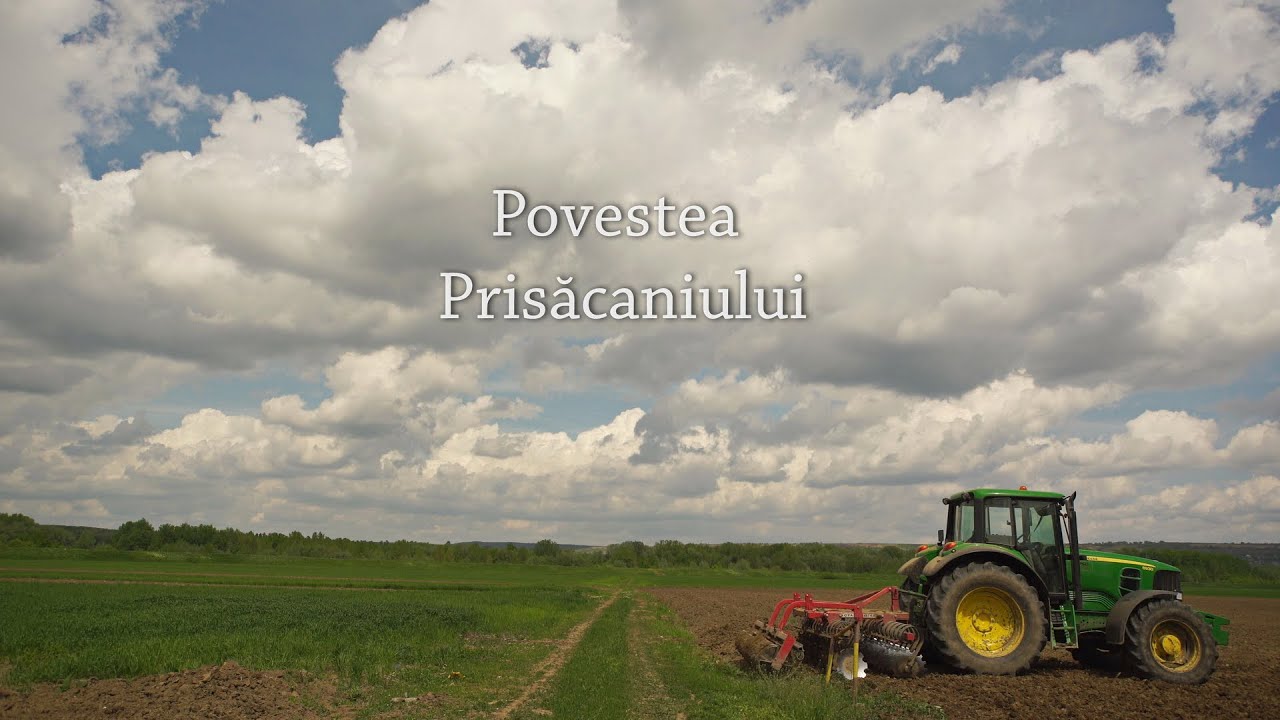 Documentar Prisăcani 4k