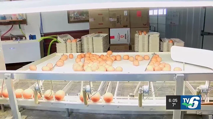 Why eggs have been more expensive, harder to find in the UP