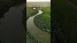 only farmers can do green of earth others can't #farming #farmerswin #farmersfirst