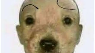 Remake Princessfx La Cagué Con Los Coloresc