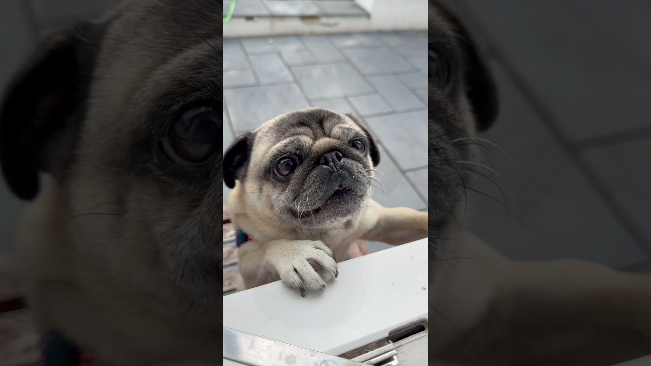 How long will I love you? 🤔 