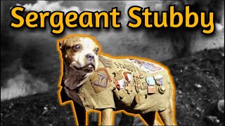 The Bravest Dog of World War 1 | Sergeant Stubby