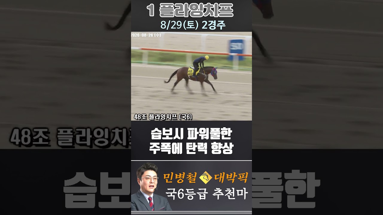 [서울 경마] 민병철 대박픽 2026년 8월 29일 토요 2R 추천마3 #경마 #automobile #한국마사회 #horse #하이라이트 #korean #비트코인 #게임 #뉴스