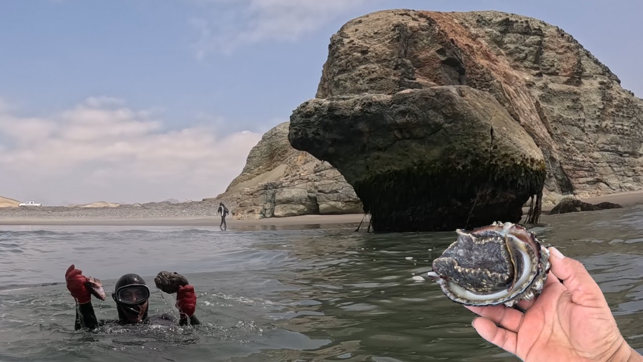 SALIÓ PARA RECIBIR EL AÑO NUEVO 2026