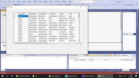 DataGridView แบบ Wizard