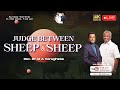  live  sunday worship  judge between sheep and sheep  ps m a varughese  11 feb 2024