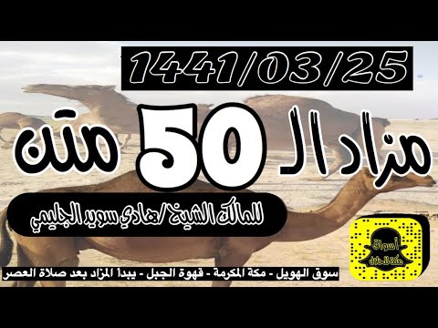 ترقبو قريبا مزاد إبل الشيخ هادي سويد الجليمي في سوق الهويل