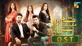 Tum Mere Kya Ho OST (Lyrics) _ Nabeel Shoukat Ali _ Adnan Raza Mir _ Ameema Saleem _ HUM TV